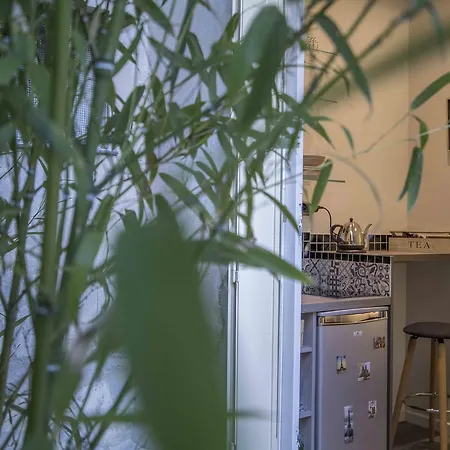 Notre Dame Paradis Latin Paryż