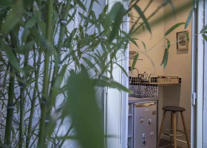 Notre Dame Paradis Latin París